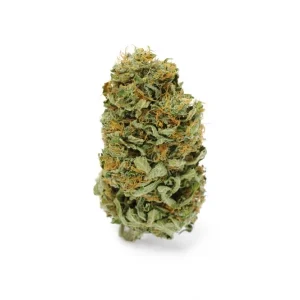 Amnesia Haze Cannabis Seeds