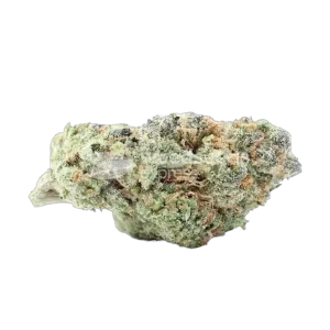 Animal Cookies Cannabis Seeds
