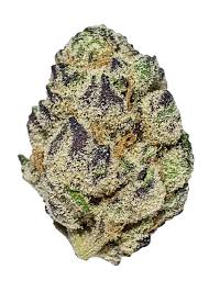 blueberry x diesel